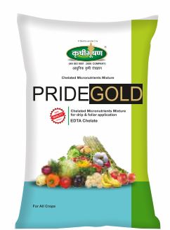 Pride Gold